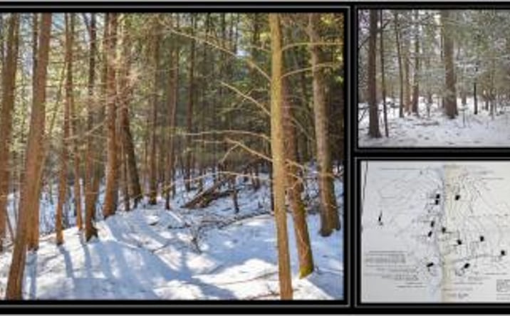 Pictures of Land property located at 22 Carriage Road, Chestertown, NY 12817 for sales - image #1