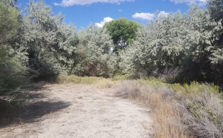 Pictures of Land property located at 200 Raymond Rd, Lovelock, NV 89419 for sales - image #1