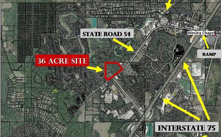 Pictures of Land property located at 0 SR 54, Lutz, FL 33559 for sales - image #1
