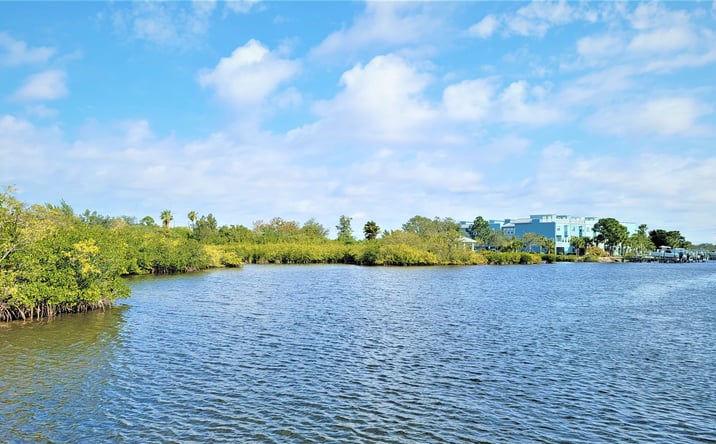 image of property at 21 OSCAR HILL RD Tarpon Springs FL 34689