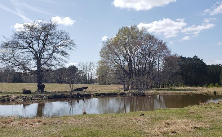 Pictures of Land, Business for Sale property located at 716 Augusta Road, Edgefield, SC 29824 for sales - image #1