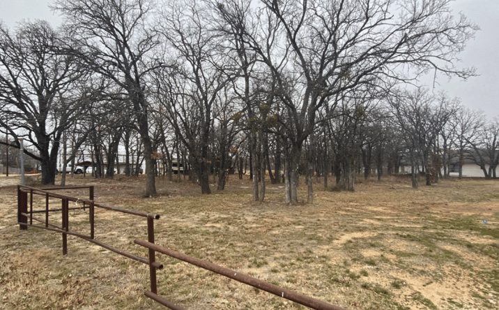 Pictures of Land property located at 9067 Teasley Lane, Corinth, TX 76210 for sales - image #1