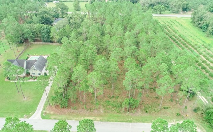 Pictures of Land property located at LOT 58 Fox Trot Drive, Moultrie, GA 31768 for sales - image #1