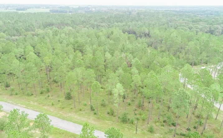 Pictures of Land property located at LOT 27 Merganser Lane, Moultrie, GA 31768 for sales - image #1