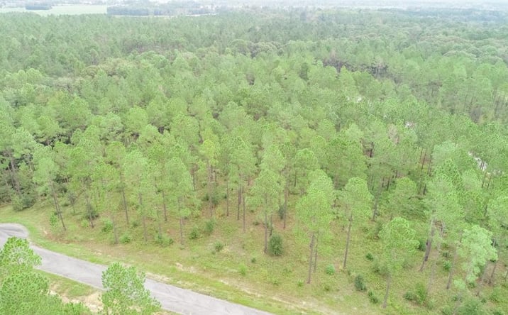 Pictures of Land property located at LOT 28 Merganser Lane, Moultrie, GA 31768 for sales - image #1