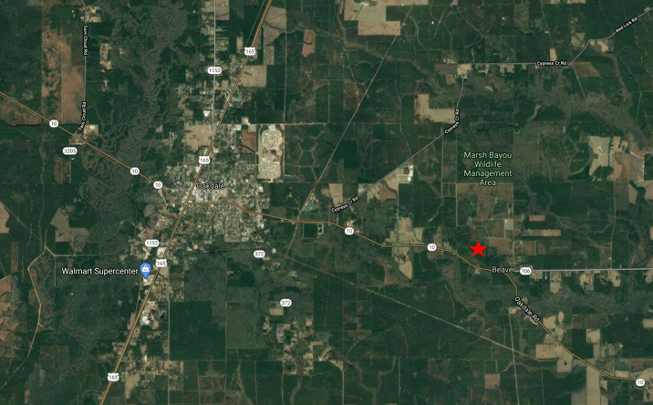 Pictures of Land property located at 1081 Oakdale Rd, Oakdale, LA 71463 for sales - image #1