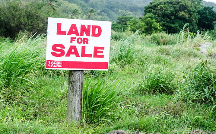 Pictures of Land property located at Grizzle Rd, DAWSONVILLE, GA 30534 for sales - image #1