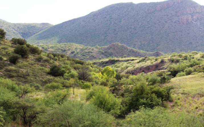 Pictures of Land property located at TBD Alamo Canyon Drive, Tubac, AZ 85646 for sales - image #1