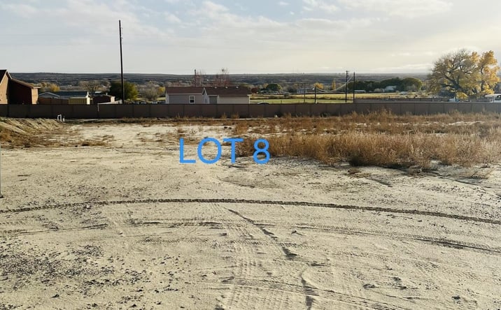 Pictures of Land, Multifamily property located at LOT 8 ROAD 49031, Bloomfield, NM 87413 for sales - image #1