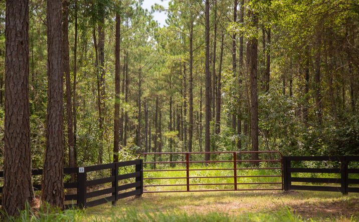 Pictures of Land property located at 61 Acres FM 352, Corrigan, TX 75939 for sales - image #1