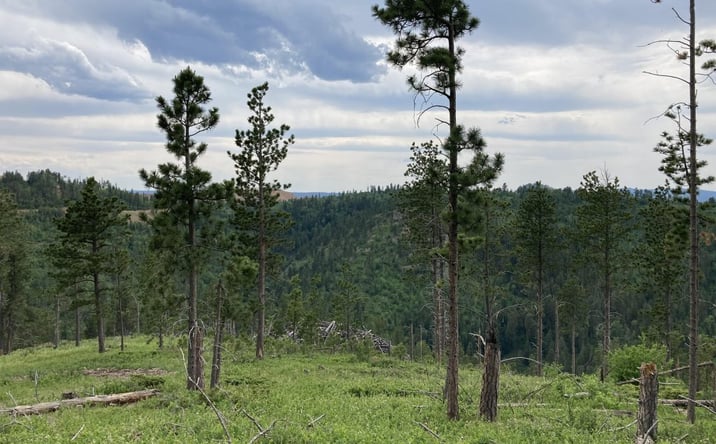 Pictures of Land property located at Richmond Hill Rd, Lead, SD 57754 for sales - image #1