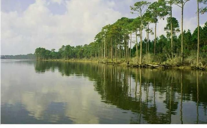 Pictures of Land property located at Allanton Rd, Callaway, FL 32404 for sales - image #1