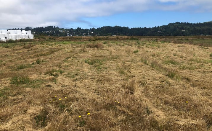 Pictures of Land property located at 92621 Wireless Rd, Astoria, OR 97103 for sales - image #1