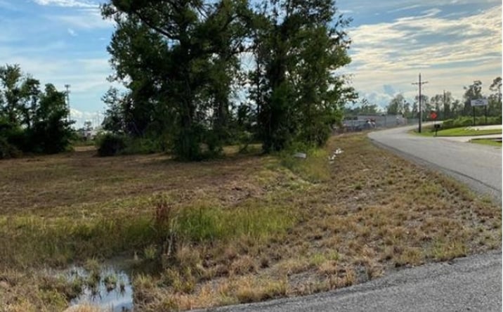 Pictures of Land property located at TBD Nabours Road, Sulphur, LA 70669 for sales - image #1