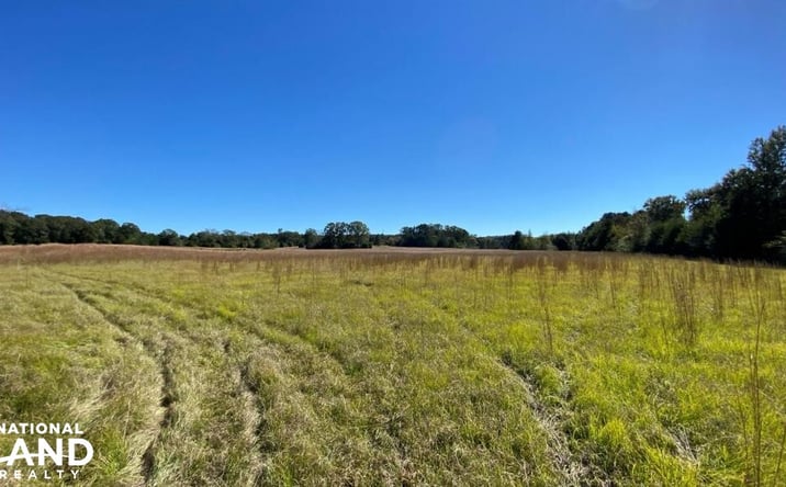 Pictures of Land property located at Blue Eye Springs Rd, Lincoln, AL 35096 for sales - image #1