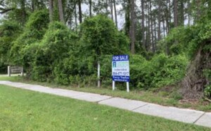 Pictures of Land property located at CR 220 & Hollars Pl, Middleburg, FL 32068 for sales - image #1