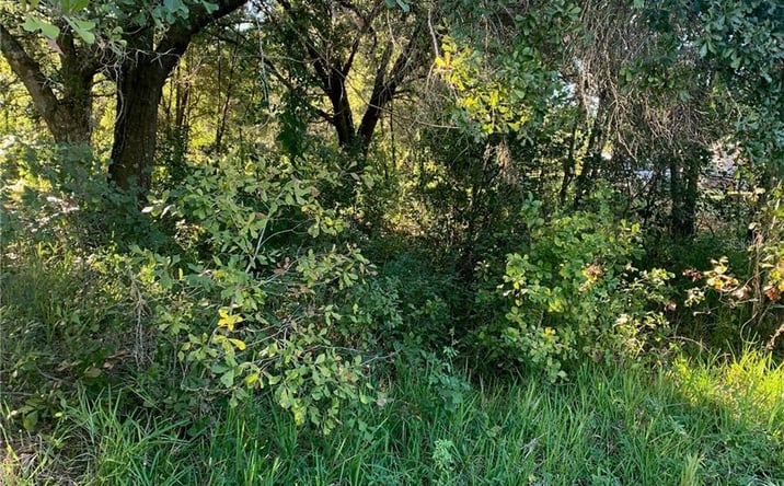 Pictures of Land property located at 0 Haig St, LAKE WALES, FL 33898 for sales - image #1