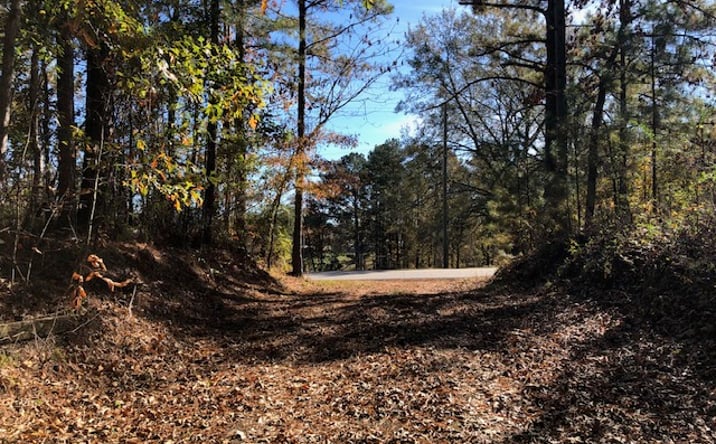 Pictures of Land property located at 3367 Co Rd 13, Helena, AL 35080 for sales - image #1