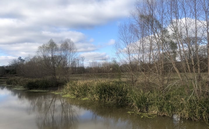 Pictures of Land property located at 13861 Calle Sevario St, Prairieville, LA 70769 for sales - image #1