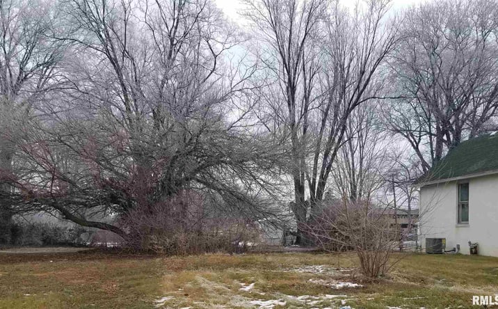 Pictures of Land property located at 411 W CARPENTER, Springfield, IL 62702 for sales - image #1