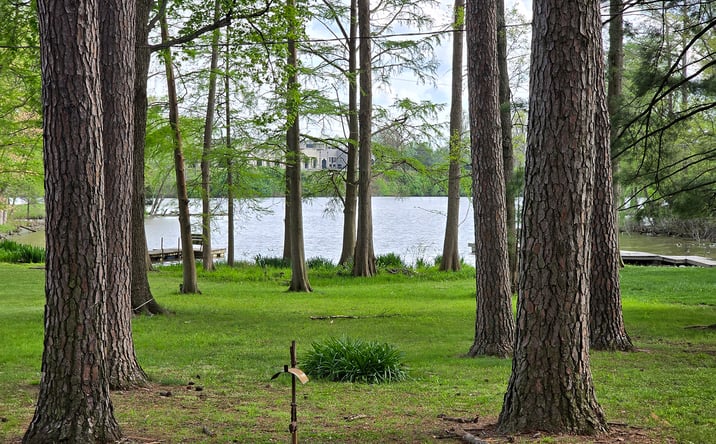 Pictures of Land, Special Purpose property located at 1831 Duck Lane, Centralia, IL 62801 for sales - image #1