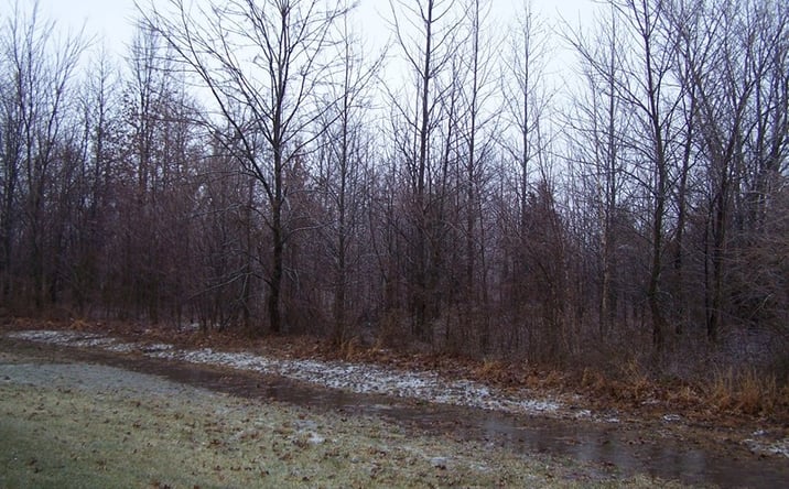 Pictures of Land property located at ADAMS Drive, Marion, IL 62959 for sales - image #1