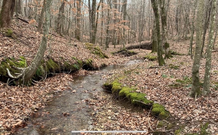 Pictures of Land property located at 0 West Mackey Rd., Iron City, TN 38464 for sales - image #1