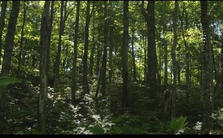 image of property at PANTHER CREEK Sneedville TN 37869