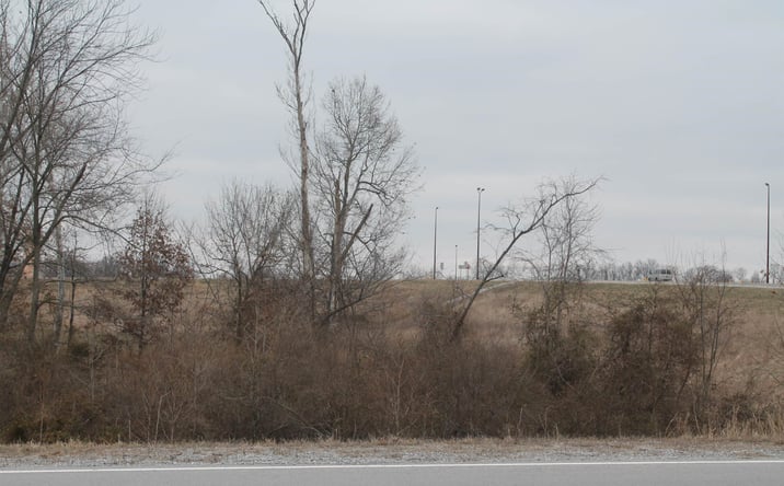 Pictures of Land property located at 0006 DONNA Drive, Crainville, IL 62918 for sales - image #1