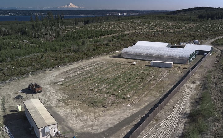 Pictures of Mixed Use, Land, Special Purpose, Business for Sale property located at 4429 Coyle Rd, Quilcene, WA 98376 for sales - image #1