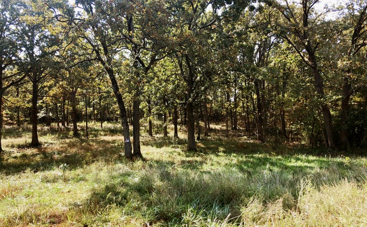 Pictures of Land property located at 10240 Co Rd 3060, Rolla, MO 65401 for sales - image #1