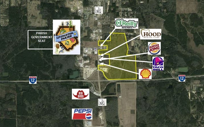Pictures of Land property located at Highway 63, Livingston, LA 70754 for sales - image #1