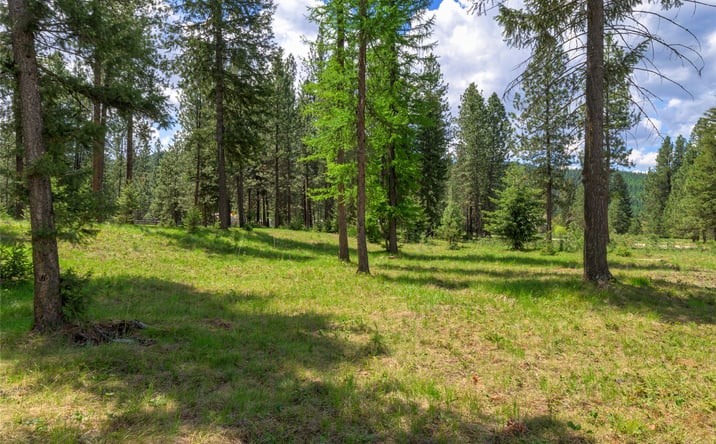 Pictures of Land property located at Lot 12 River Run Loop, Saint Regis, MT 59866 for sales - image #1