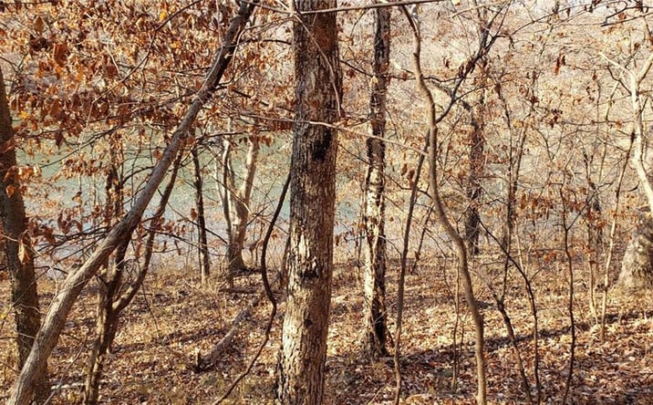 Pictures of Land property located at 6004 West Shore Court, Parkville, MO 64152 for sales - image #1