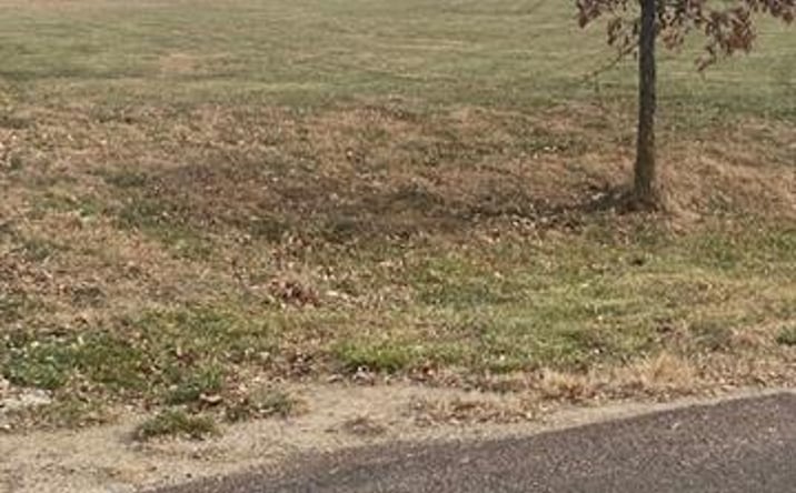 Pictures of Land, Multifamily property located at 25030 177th Terrace, Leavenworth, KS 66048 for sales - image #1