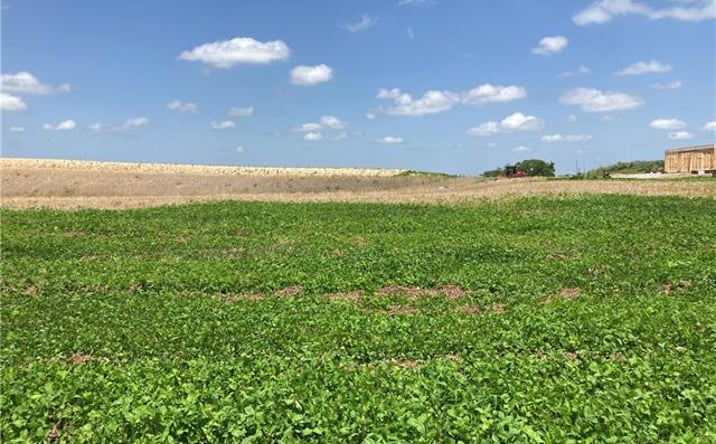 Pictures of Land, Multifamily property located at 4730 Woodland Court, St Joseph, MO 64505 for sales - image #1