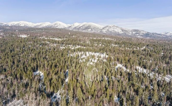 Pictures of Land property located at 635 Kaeding Creek Road, Whitefish, MT 59937 for sales - image #1