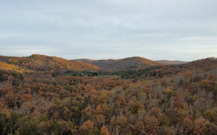 Pictures of Land property located at Ritner Road, Ritner, KY 42633 for sales - image #1