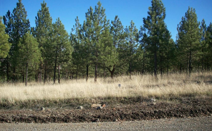 Pictures of Land property located at Lot 24 Leiber Lane, Plains, MT 59859 for sales - image #1