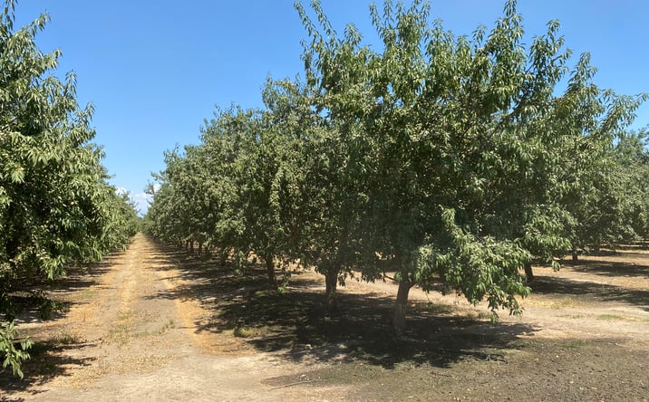 Pictures of Land property located at 16029 Ave 136, Tipton, CA 93272 for sales - image #1