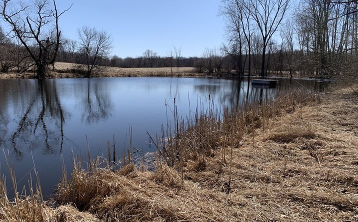 Pictures of Land property located at 1480 M-36, Pinckney, MI 48169 for sales - image #1
