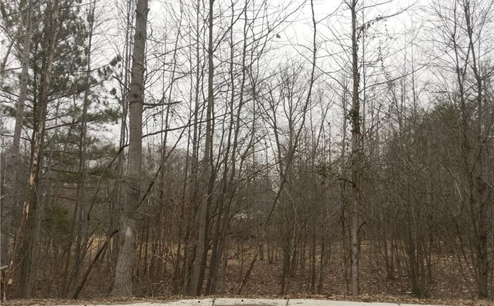 Pictures of Industrial property located at 000 Kennedy Street, Eden, NC 27288 for sales - image #1