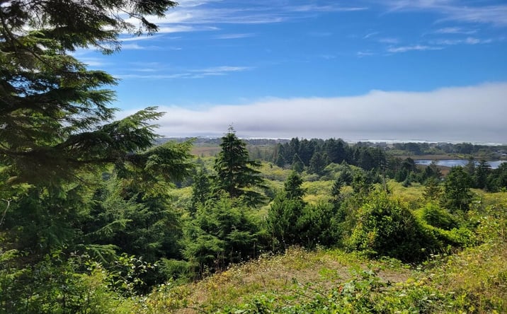 Pictures of Land, Special Purpose property located at NE 20th Ave, Rockaway Beach, OR 97136 for sales - image #1
