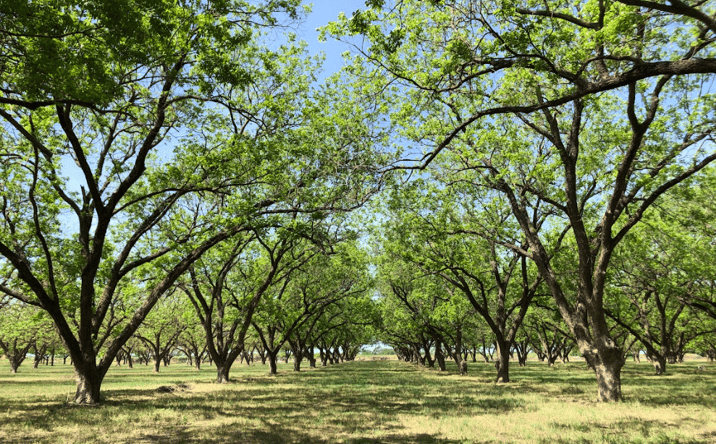 Pictures of Special Purpose property located at 12633 Gholson Rd, Gholson, TX 76705 for sales - image #1