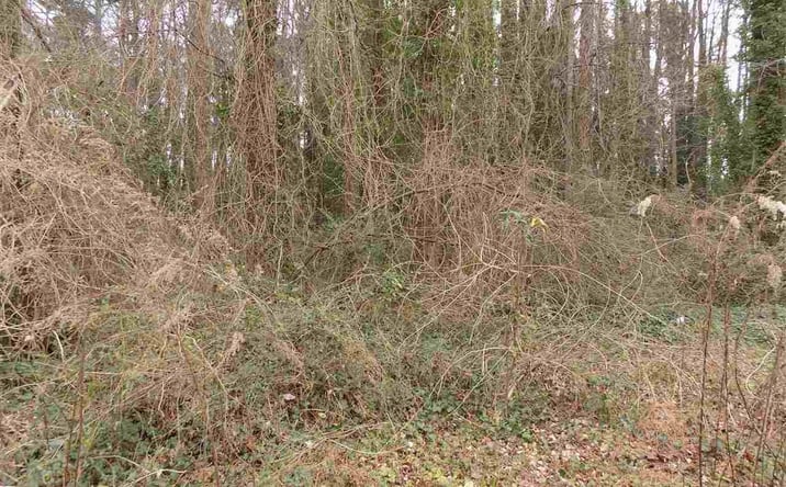 Pictures of Land property located at E Granville St, Dunn, NC 28334 for sales - image #1