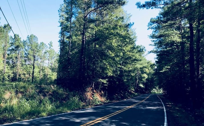 Pictures of Land property located at 305 - 321 Dubard Boyle Road, Lots #18-22, Columbia, SC 29203 for sales - image #1