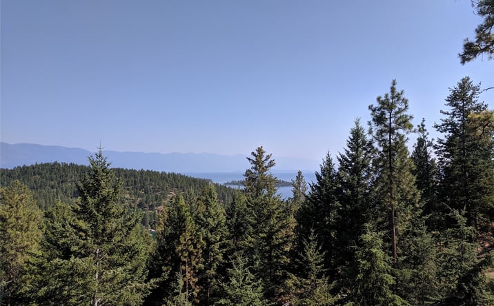 Pictures of Land property located at 20500 Wild Horse Ranch Road, Rollins, MT 59931 for sales - image #1