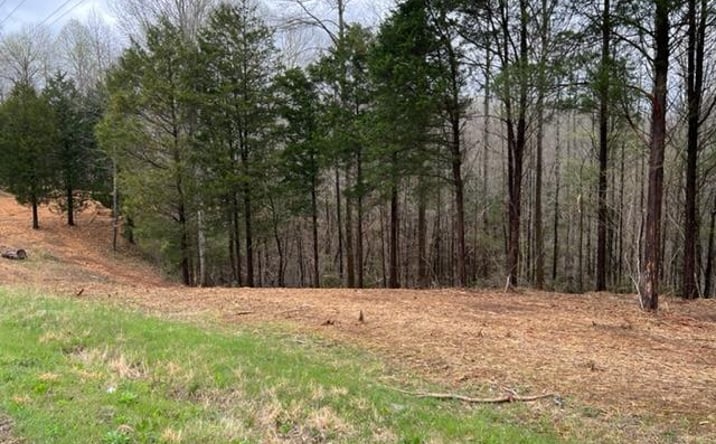 Pictures of Land property located at Willow Grove Hwy, Allons, TN 38541 for sales - image #1