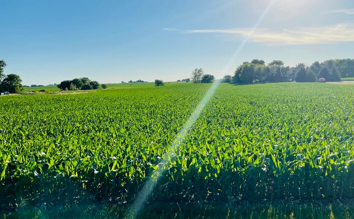 Pictures of Land property located at 00 E 8th Road, Utica, IL 61373 for sales - image #1