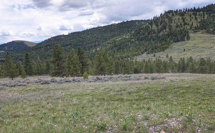 Pictures of Land property located at 3 Tract, Drummond, MT 59832 for sales - image #1
